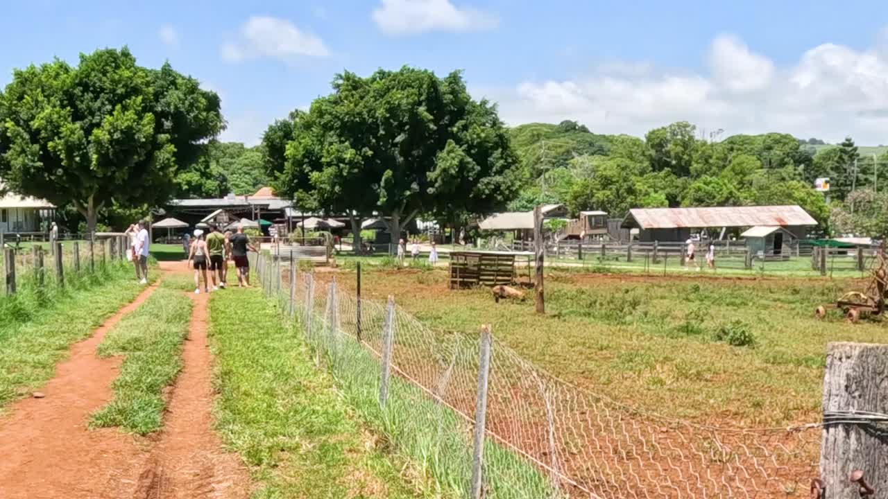 A scenic walk along a dirt path bordered by wire fences and lush greenery under a clear sky.