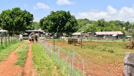 a scenic walk along a dirt path bordered by wire fences and lush greenery under a clear sky.