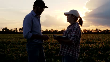 farmers are talking while standing in a field
