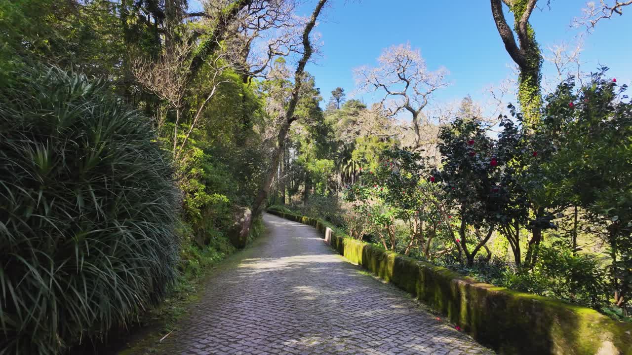 Serene park path near Pena Palace on sunny day