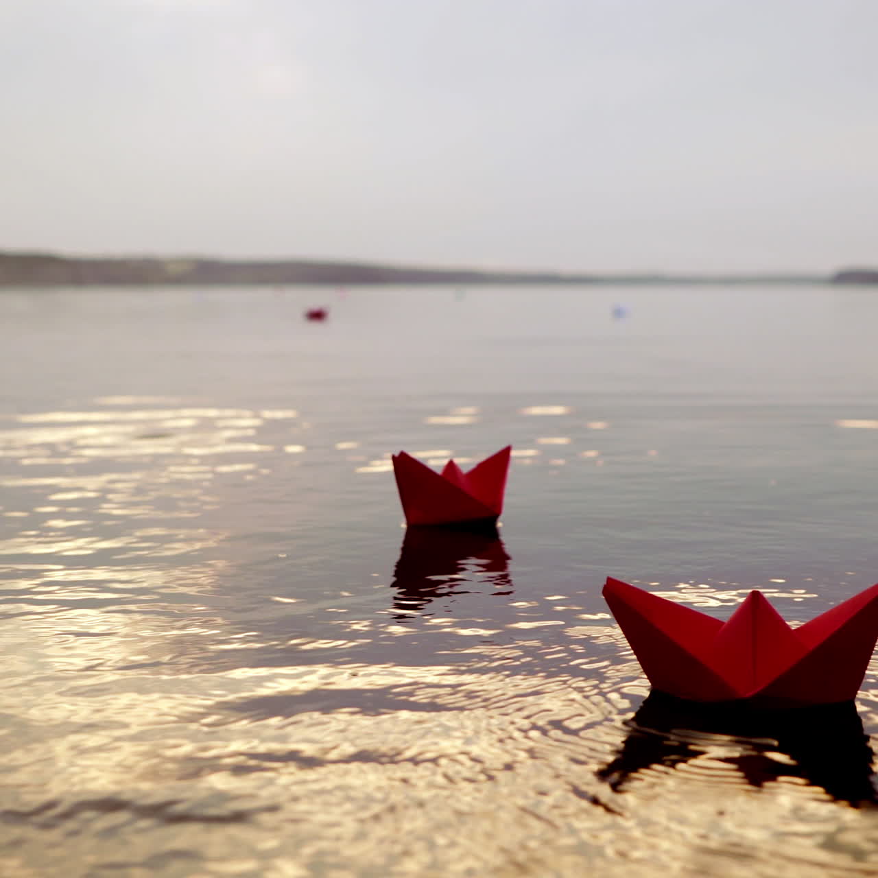 Woman's hand is putting red paper boat on the water to others swimming at sunset. Origami ships on waves on river in the evening