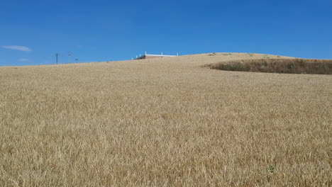 Bodega-Gótica,-Una-Hermosa-Bodega-Familiar-En-Rueda,-España-9