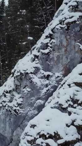 snowy mountain forest landscape