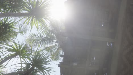 scenic low angle shot of sunlight coming through roof and palm trees