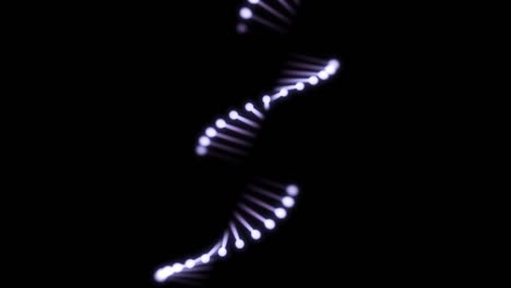 3d animation of shimmering dna on a black background. 60fps. the object rotates in the center of the screen.