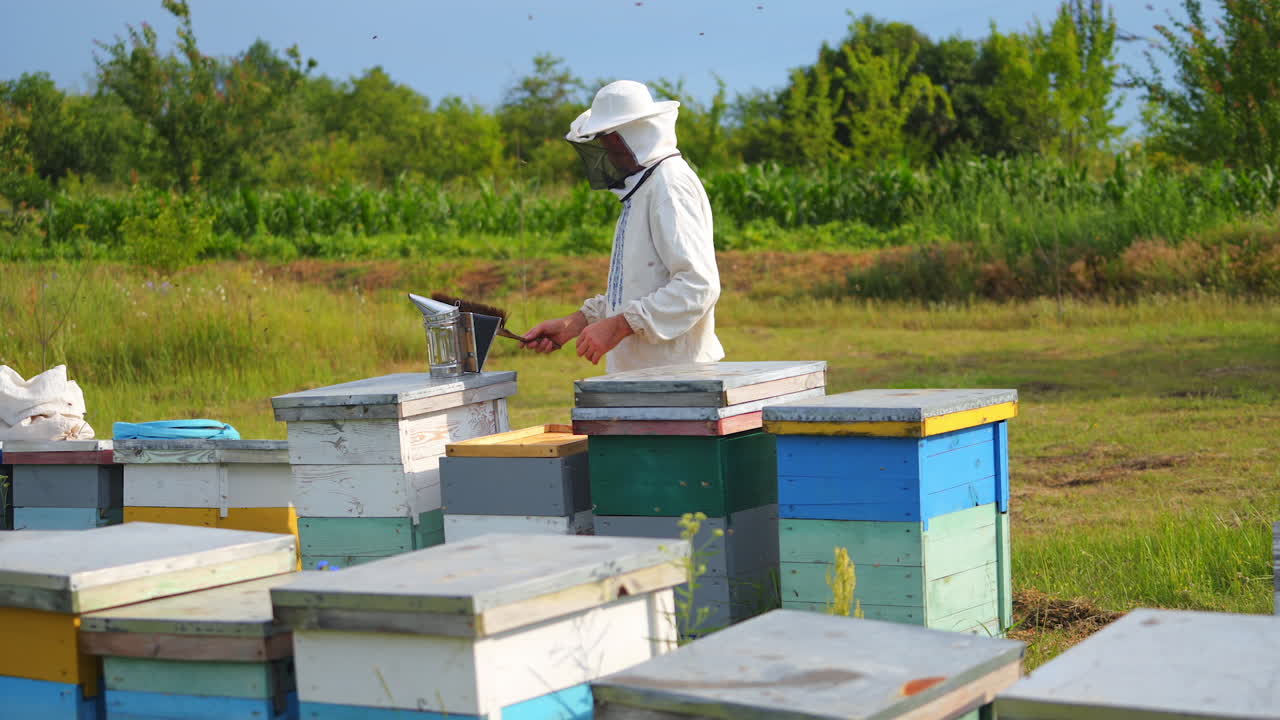 L'apicoltore sta lavorando con api e alveari sull'apiario. Apicoltore sull'apiario.
