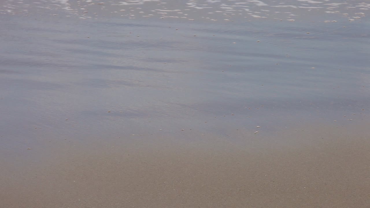olas rompiendo en la costa con espuma de burbujas mientras el agua fluye y refluye