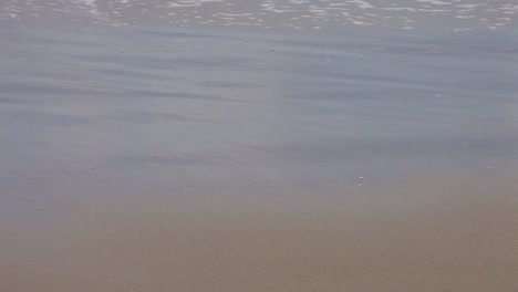 waves lapping on shoreline with bubble foam as the water ebbs and flows