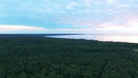 flying over a forest in the evening towars a calm and tranquil sea and coastline