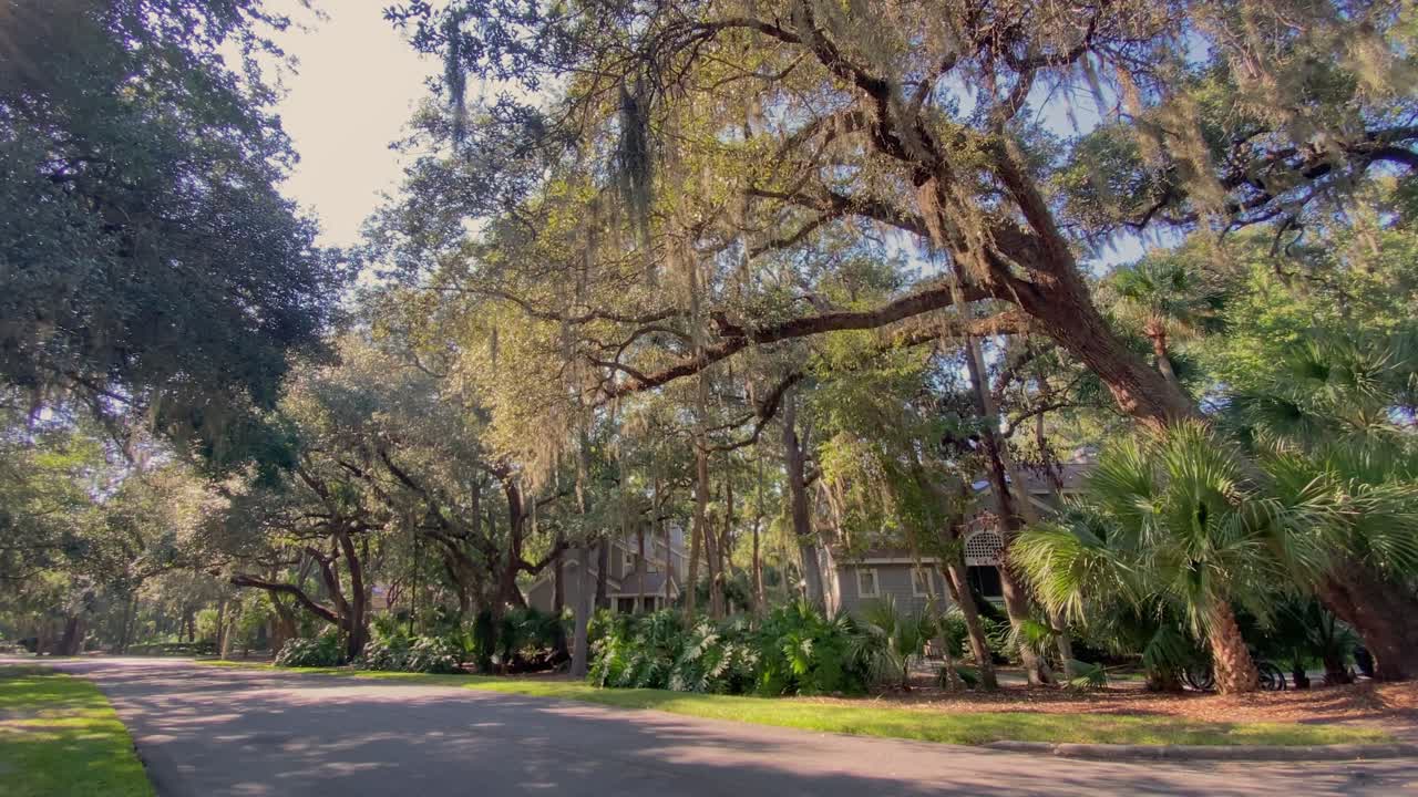 사우스 캐롤라이나 힐튼 헤드의 거리에 스페인 이끼가 있는 아름다운 버지니아 라이브 오크 나무 아래