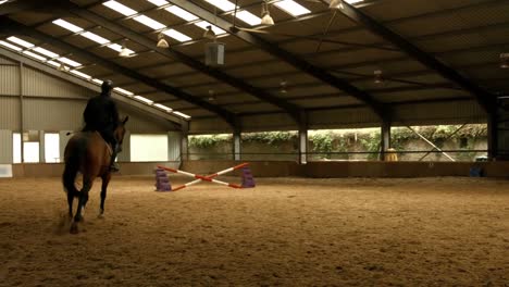 man riding horse around paddock