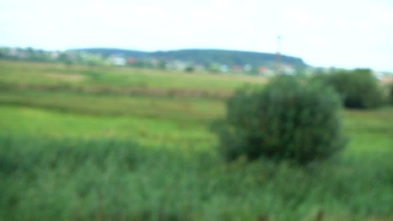 Shooting of the summer field. Out of focus