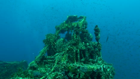 shipwreck crane and fish