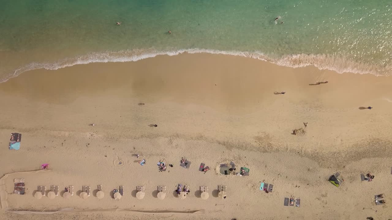 파라솔과 사람들이 일광욕을 하는 카나리아 섬 스페인 푸에르테벤투라의 모래 해변의 공중 하향식