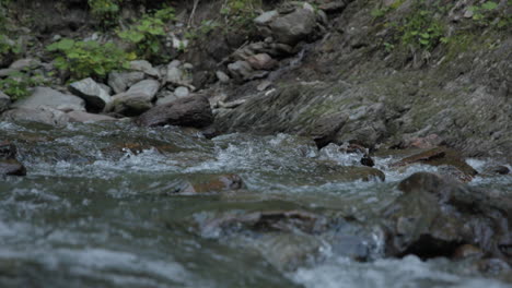 rushing water in a rocky mountain stream