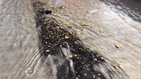 black sand and gold flakes flow down water sluice, close up shot