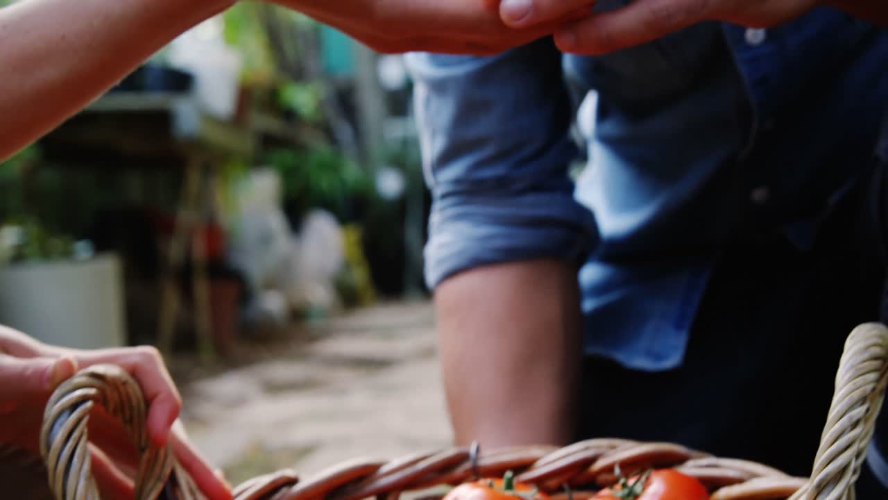 jardinera ofreciendo tomate recién cultivado a un hombre
