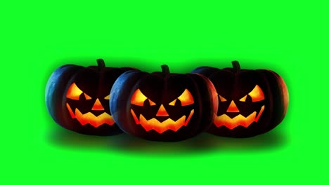 Pantalla-Verde-Tres-Calabazas-Para-Superposición-De-Video,-Halloween