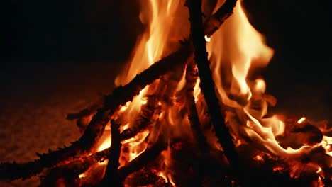 closeup of a campfire burning at night