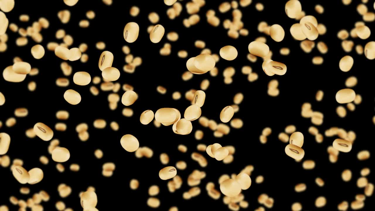 검은색 바탕에 많은 콩을 날아. 밝은 갈색 곡물. 콩과 콩. 건강한 음식. 회전하는 콩의 3d 루프 애니메이션.