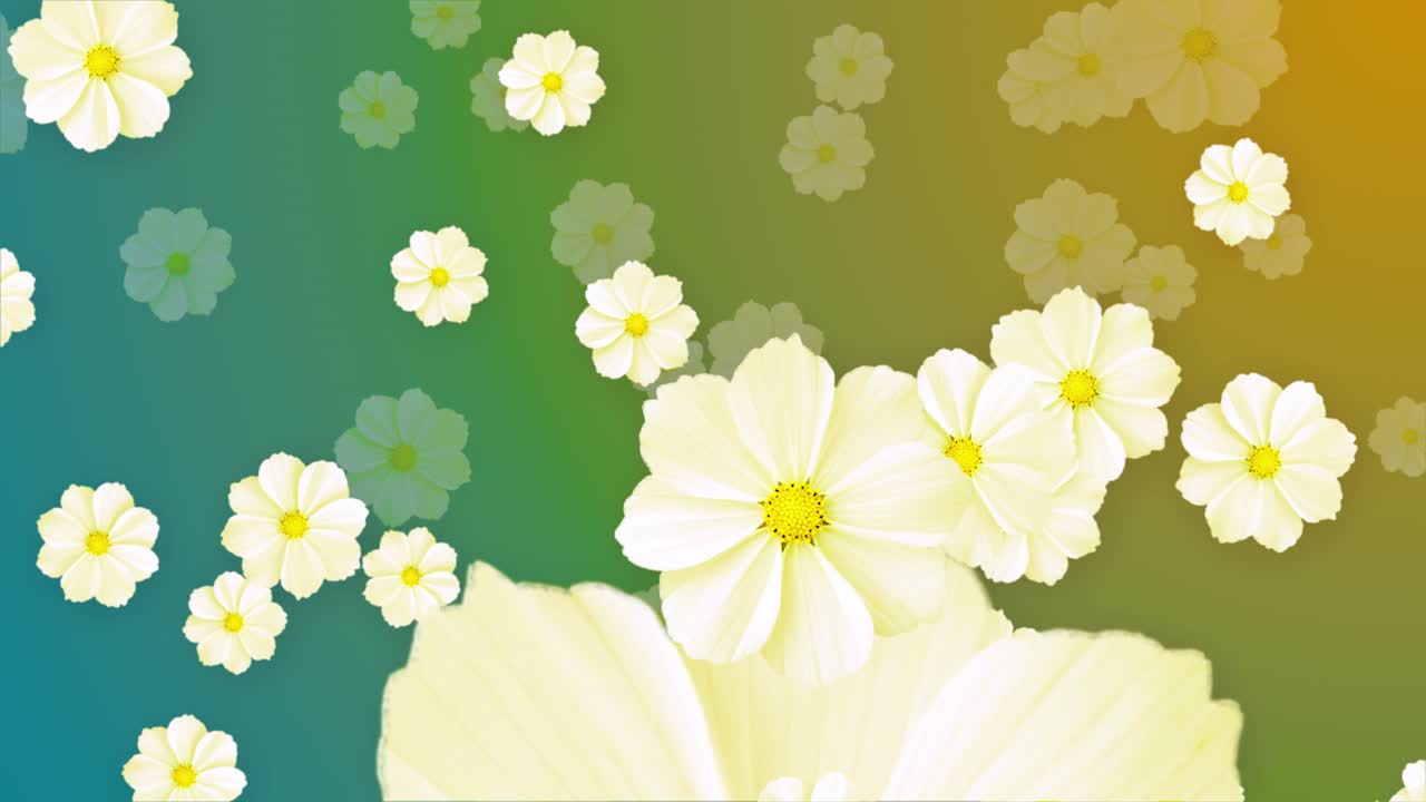 Nature background with jasmine flowers and green leaves spinning right to left summer nature