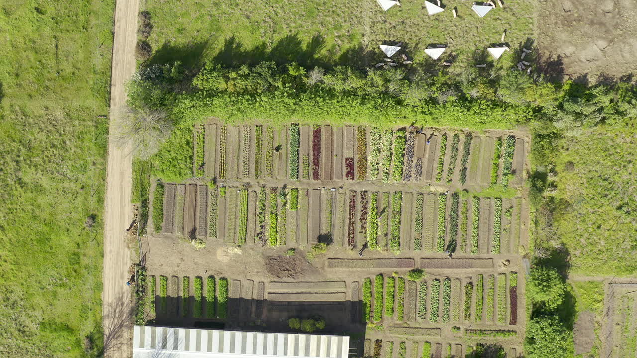 농장에 몰려들고