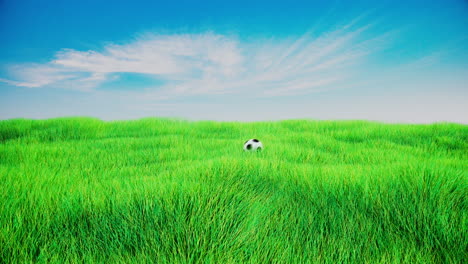 Animación-3d-De-Un-Balón-De-Fútbol-Rodando-Sobre-Un-Campo-Verde-De-Hierba-Con-Nubes-Blancas-Y-Cielo-Azul-Y-Soleado,-Briznas-De-Hierba-Soplando-Sutilmente-En-El-Aire,-Vista-Lateral-De-Una-Pelota-De-Fútbol-Corriendo-De-Izquierda-A-Derecha