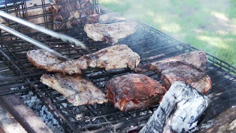 outdoor grilling of pork and lamb chops on an open fire, close up