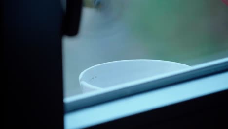 Close--up-blue-tit-behind-a-window-eating-seeds-in-winter,-slowmotion