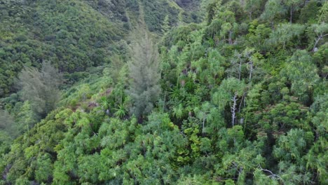 isla de hawaii kauai costa norte por drone 4k-3