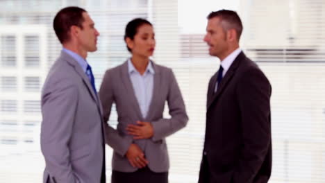 hombre de negocios confiado mirando a la cámara