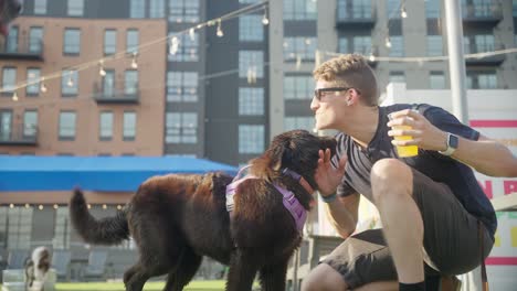 a man plays with dogs at an outdoor urban dog park