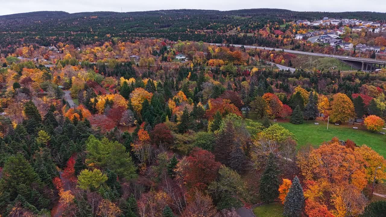 High aerial view of a multi-lane highway winding through Bowring Park’s golden forest, with cars passing ponds, lakes and colourful treetops toward a hillside