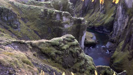 Close handheld shot of moss in Fja&eth;r&aacute;rglj&uacute;fur Canyon - South Iceland