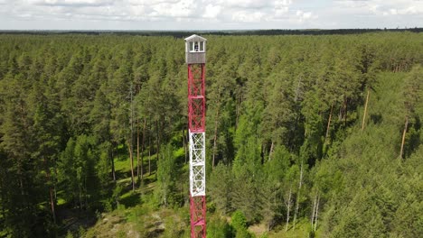 Lookout-tower-in-the-woods