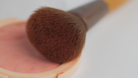 blush and brush close-up