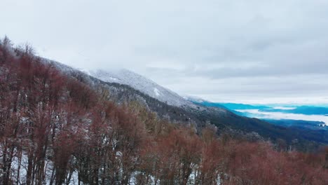 Slow-aerial-shot-on-a-winter-day-with-snow-and-trees-in-the-mountains-from-Patagonia