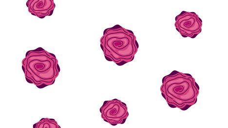 pink rose pattern