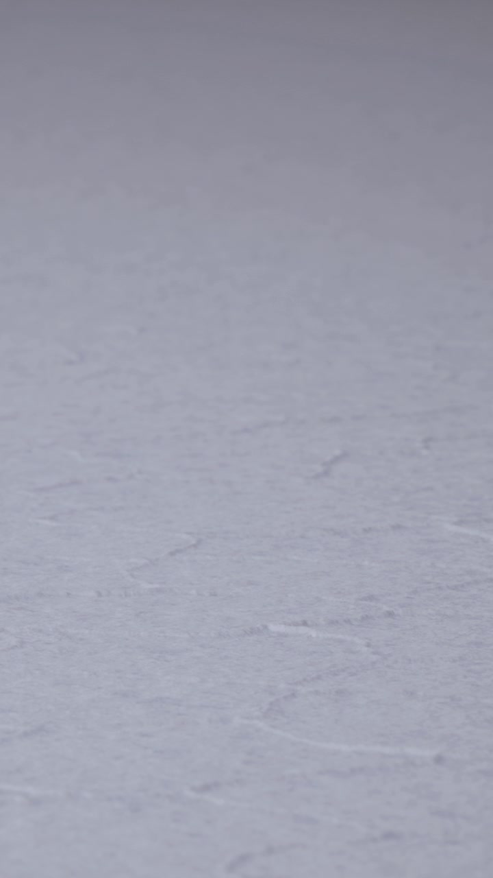 Small creature exploring the soft white surface on a quiet afternoon