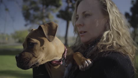 beautiful woman holds her boxer puppy at the park while it watches intensely