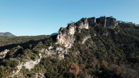 vista de pájaro de un bosque de pinos en el sur de alemania con acantilados rocosos