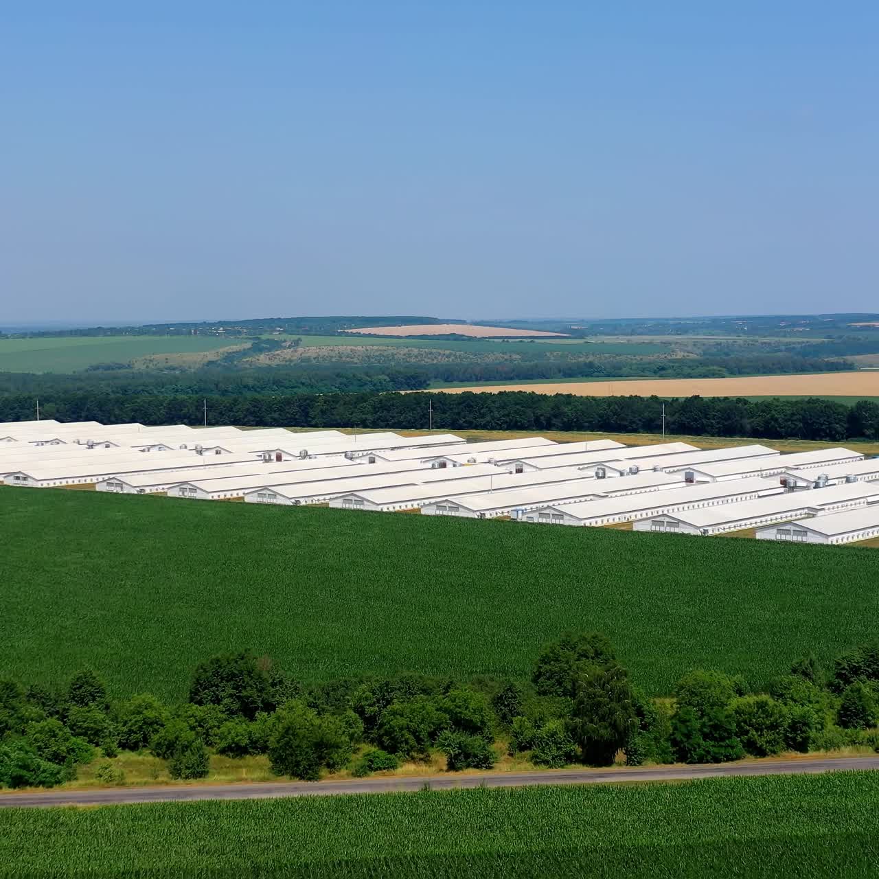 Agriculture industry in countryside. Aerial view of industrial chicken house