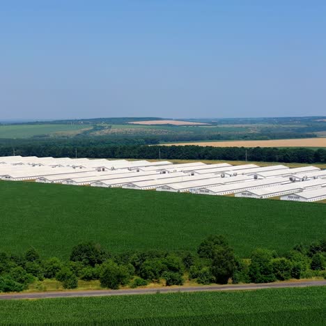 agriculture industry in countryside. aerial view of industrial chicken house
