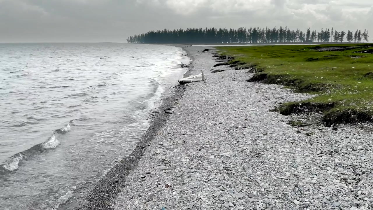 Bølger som forsiktig skvulper mot en steinete kystlinje med skog i bakgrunnen