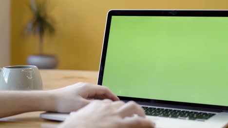 person working on laptop with green screen