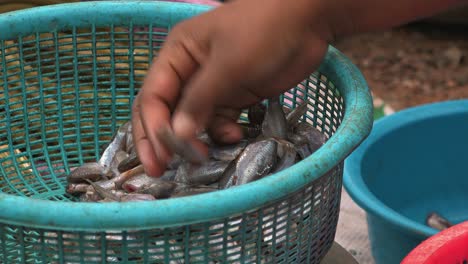 Nahe-Statische-Aufnahme-Eines-Marktverkäufers,-Der-Fische-Kontrolliert,-Während-Er-Tagsüber-Am-Marktstand-Fliegen-Mit-Einer-Plastiktüte-Wegschlägt