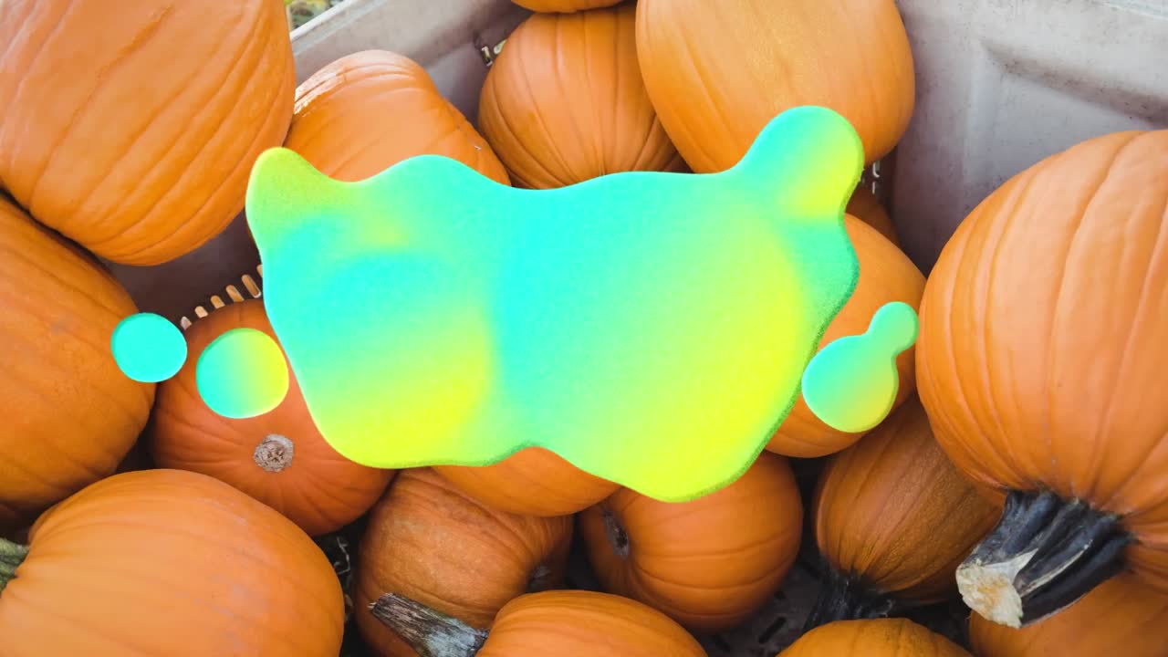 animación de salpicaduras azules y amarillas sobre el parche de calabaza