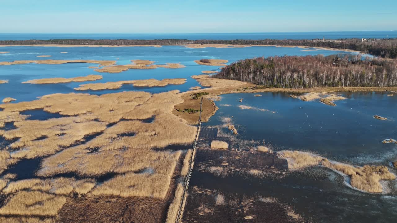 sendero de tablas de madera a través del lago kaniera cañas disparo aéreo de primavera lapmezciems, letonia