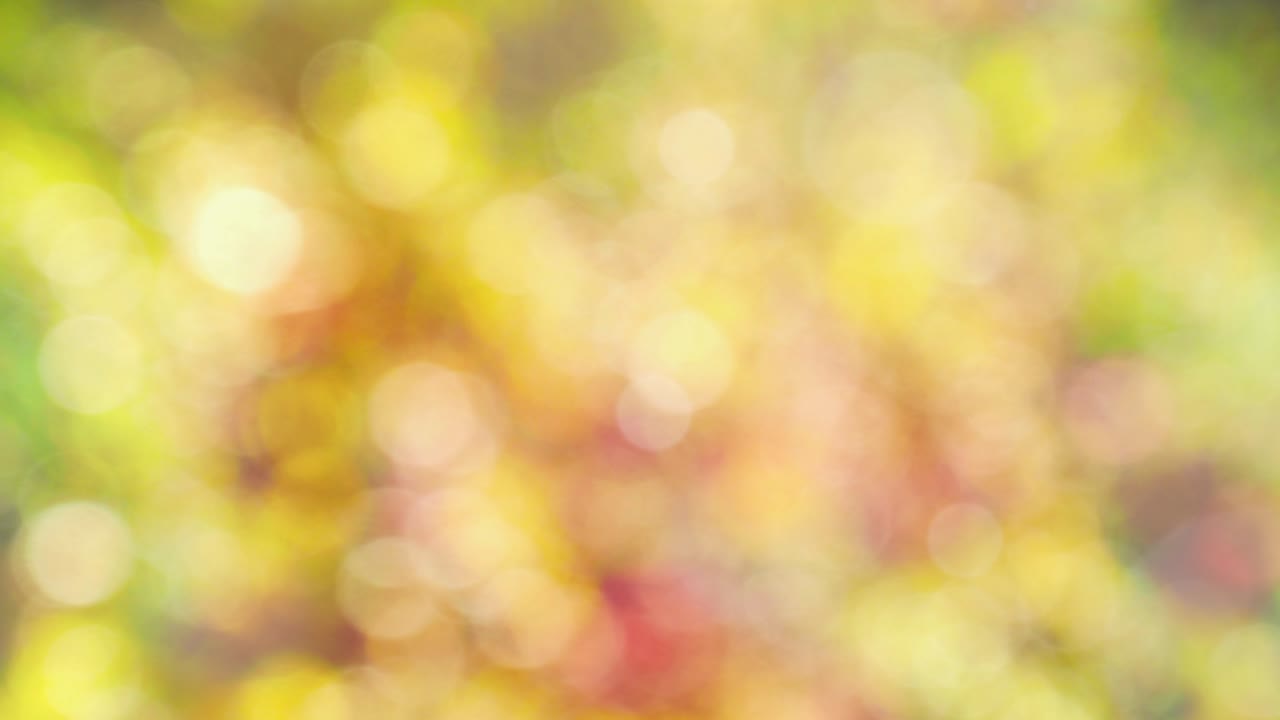 Abstract autumn background with bokeh