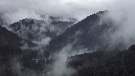 wide aerial view of a super moody mountain forest of fir and spruce trees 4k